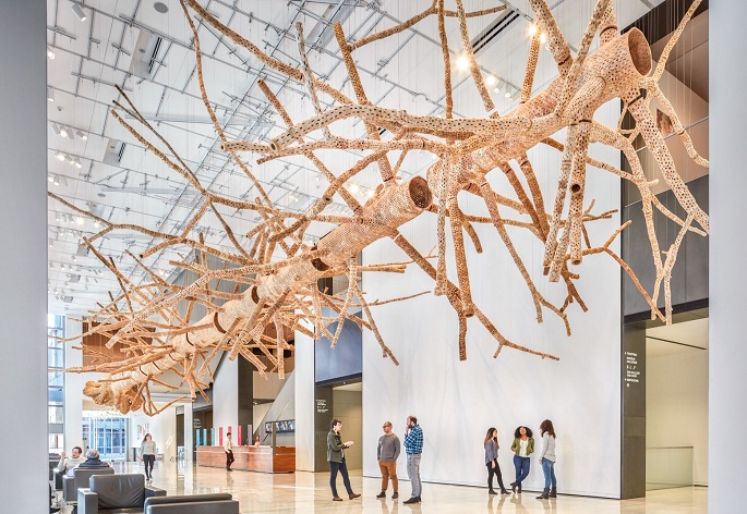 Seattle Sanat Müzesi İç Mekan