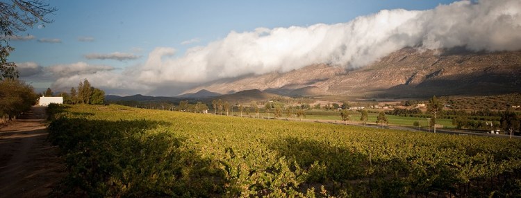 Joubert-Tradauw, Little Karoo