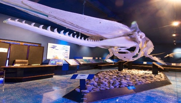 Maskat Doğa Tarihi Müzesi