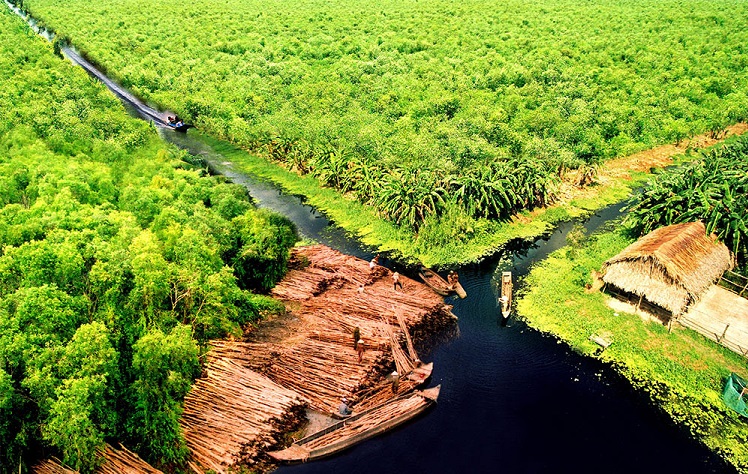 Mui Ca Mau Ulusal Parkı