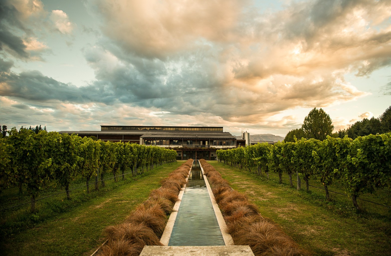 Blenheim Villa Maria