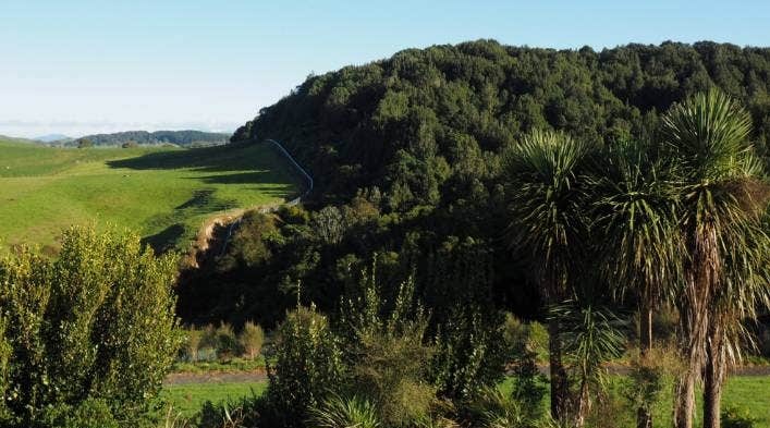 Sığınak Dağı Maungatautari