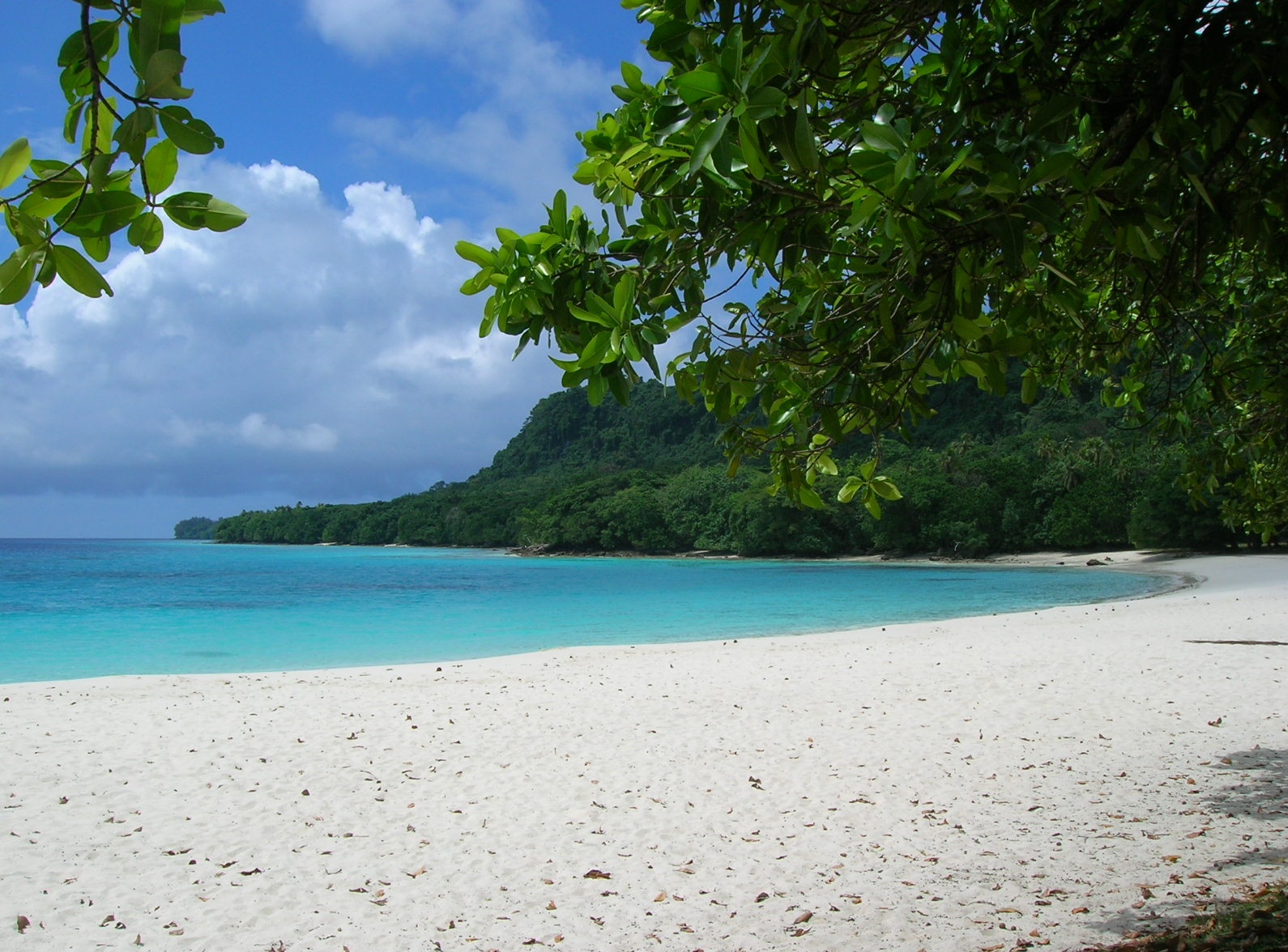Vanuatu Champagne Plajı