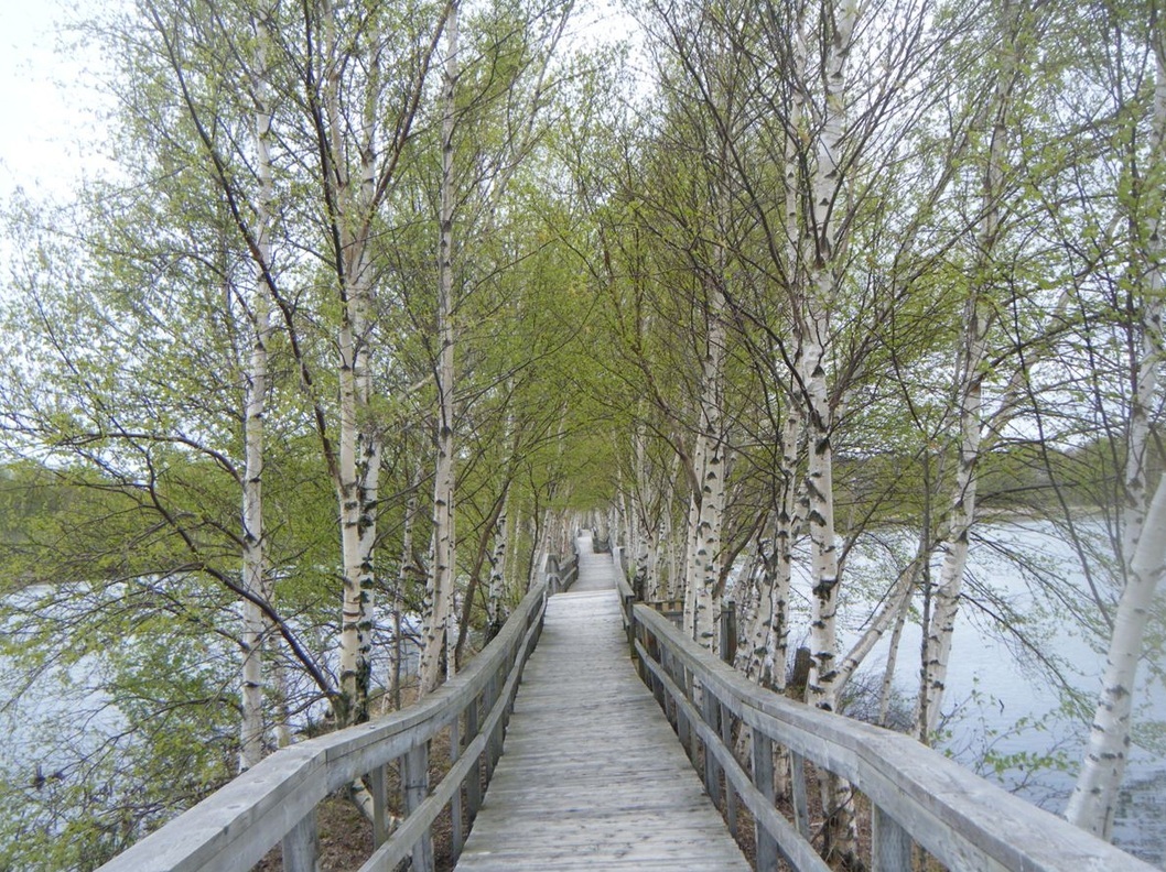 Sackville Su Kuşları Parkı