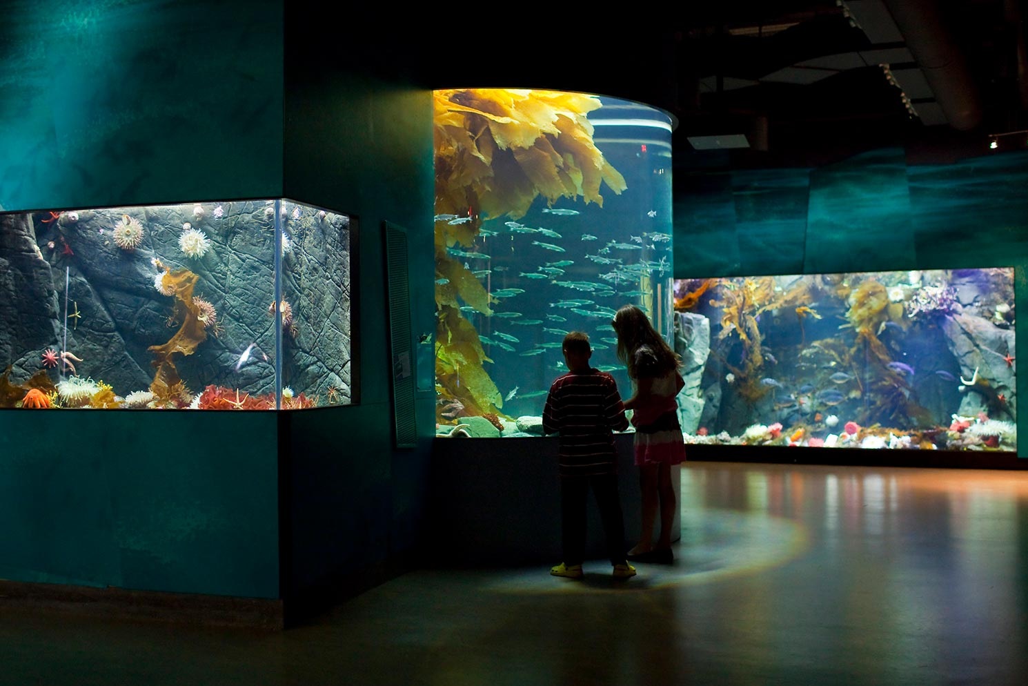 Shaw Centre for the Salish Sea