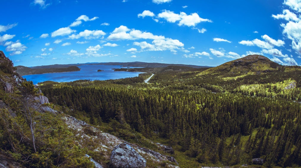 Terra Nova Ulusal Parkı